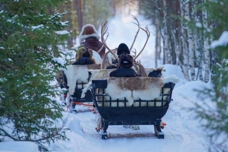 Traditional Reindeer Farm Visit with a Short Sleigh Ride - Final Thoughts: Is It Worth It?