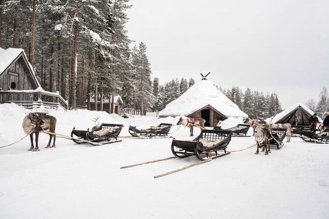 Traditional Reindeer Farm Visit with a Short Sleigh Ride - What the Tour Includes and How It Runs