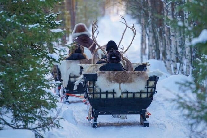 Traditional Reindeer Farm Visit with a Short Sleigh Ride - The Highlight: The Reindeer Sleigh Ride