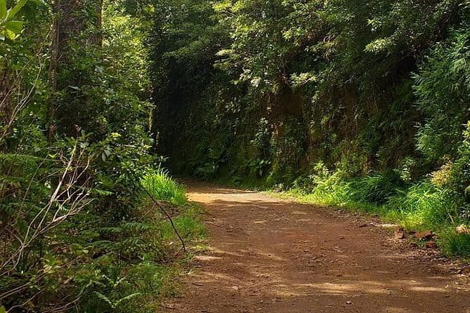 Traditional Sunday Market - Half Day Tour - 4x4 - Why You Should Consider This Tour