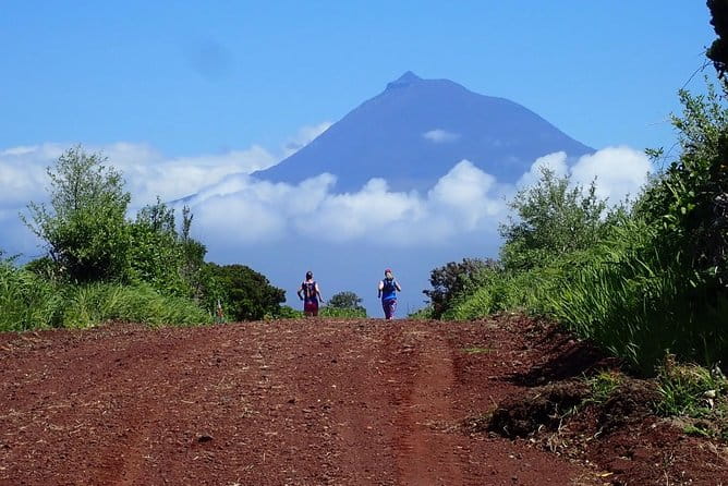 Trail Running private tour in Faial - Exploring the Volcanic Landscapes of Faial: A Trail Running Adventure