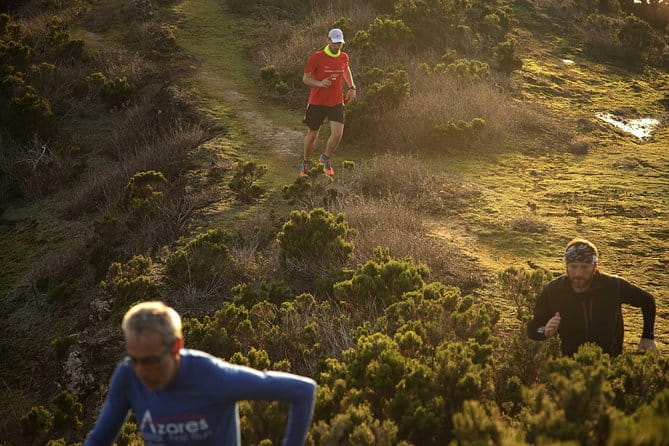 Trail Running private tour in Faial - What to Expect: Trail Running and Natural Beauty