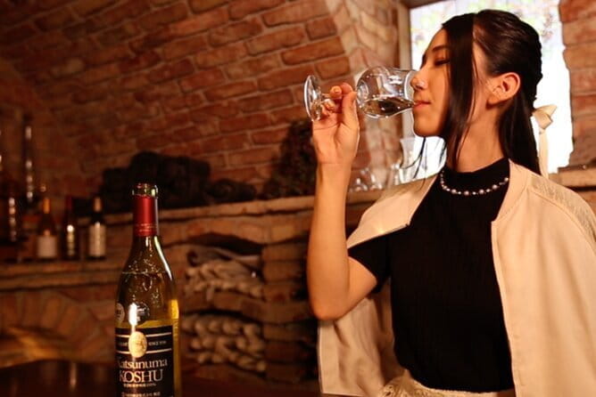 Train and Taxi Grape Temple and Winery Tour in Yamanashi - Inclusions of the Tour