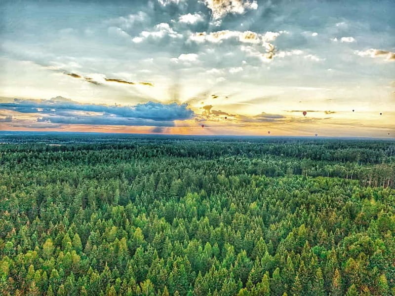 Trakai Hot Air Balloon Flight - Discovering Lithuania from Above: The Hot Air Balloon Experience