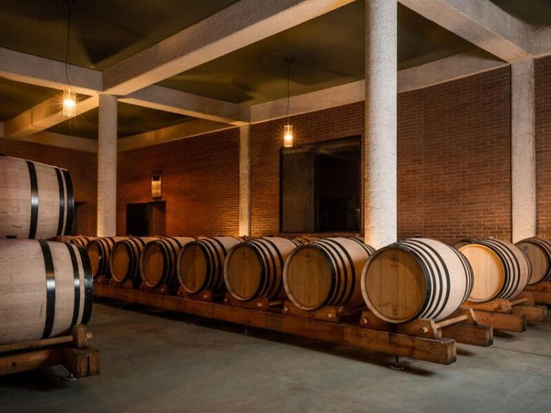 Tramin/Termeno: Winery Tour & Wine Tasting, J. Hofstätter - Tramin/Termeno: Winery Tour & Wine Tasting, J. Hofstätter — A Genuine Taste of Alto Adige