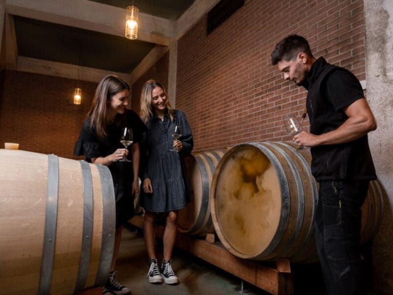 Tramin/Termeno: Winery Tour & Wine Tasting, J. Hofstätter - Key points / Takeaways