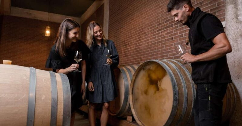 Tramin/Termeno: Winery Tour & Wine Tasting, J. Hofstätter - Behind the Scenes in the Cellar