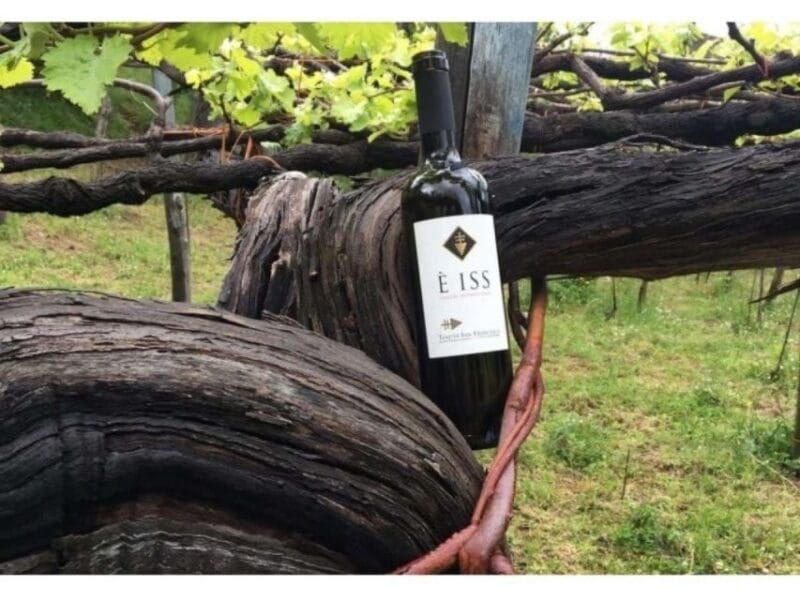 Tramonti: Tenuta San Francesco Wine Tasting - A Crafty Balance: Learning and Relaxing