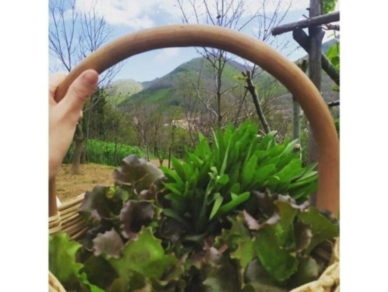 Tramonti: Traditions of the Mediterranean Diet Cooking Class - Key Points / Takeaways