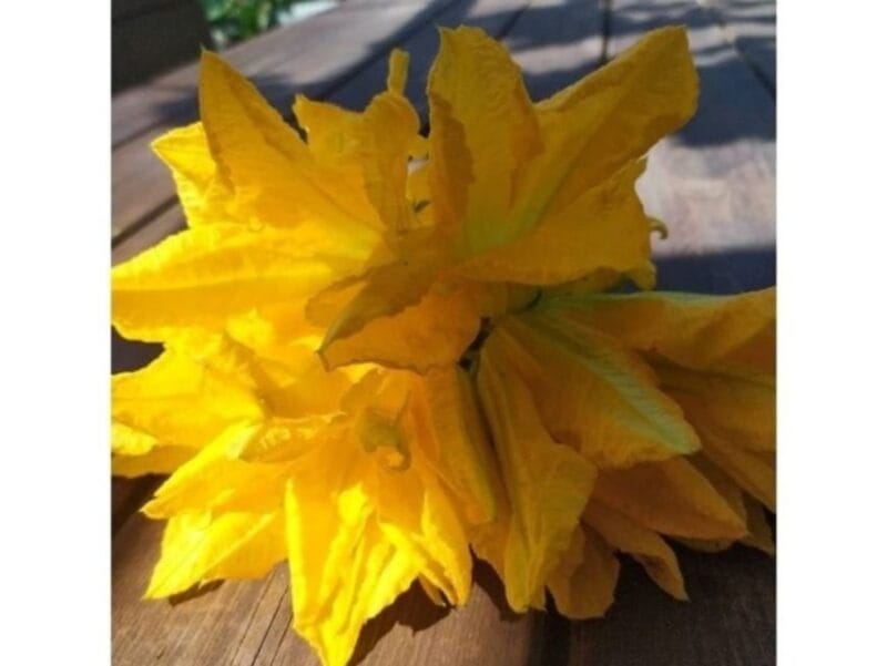 Tramonti: Traditions of the Mediterranean Diet Cooking Class - Practical Details & Logistics