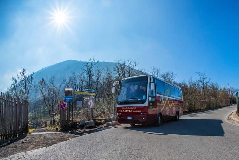 TRAMVIA -Da Naples: Pompei Ruins and Vesuvio Transfer by Bus - What’s Included, and What You Should Budget For
