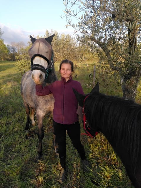 Trancoso: Farm eco-Tour with Tasting - A Deep Dive into the Experience