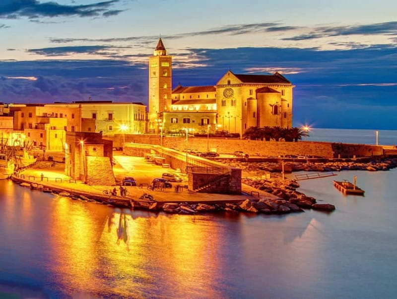 TRANI AND CASTEL DEL MONTE: guided tours and transfers from Matera - Key points / Takeaways