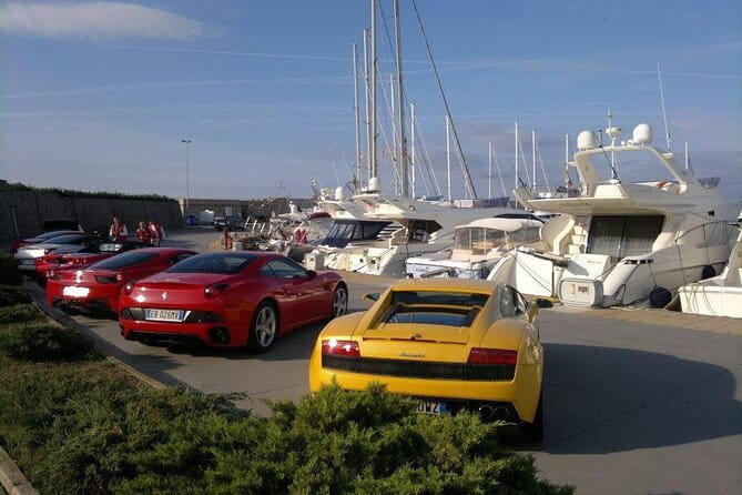 Transfer Civitavecchia Cruise Port>Rome/FCO/or Private Revers - Key points / Takeaways