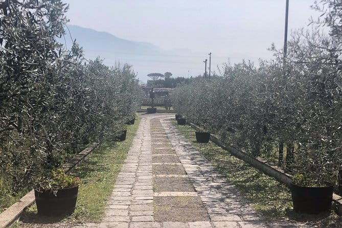 Transfer from Civitavecchia to Sorrento - The Practical Details of the Transfer from Civitavecchia to Sorrento