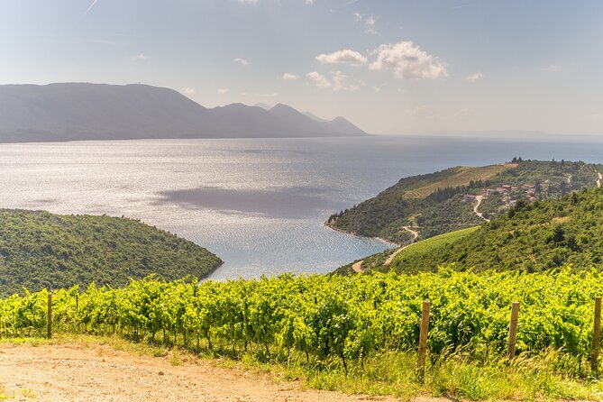 Transfer From Dubrovnik to Split With 2 Hours Stop in Ston Town - Key Points