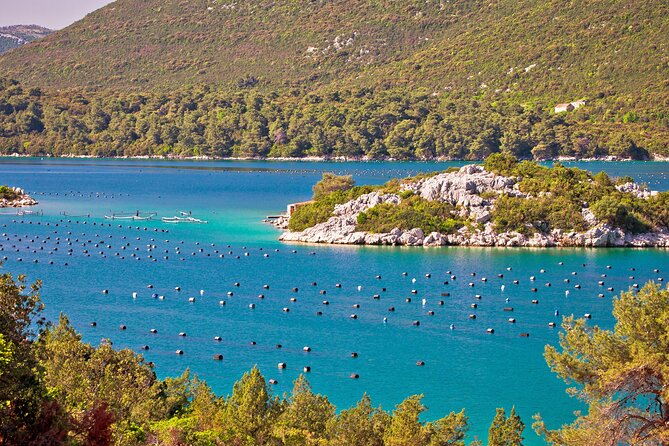 Transfer From Dubrovnik to Split With 2 Hours Stop in Ston Town - Ston Town Experience