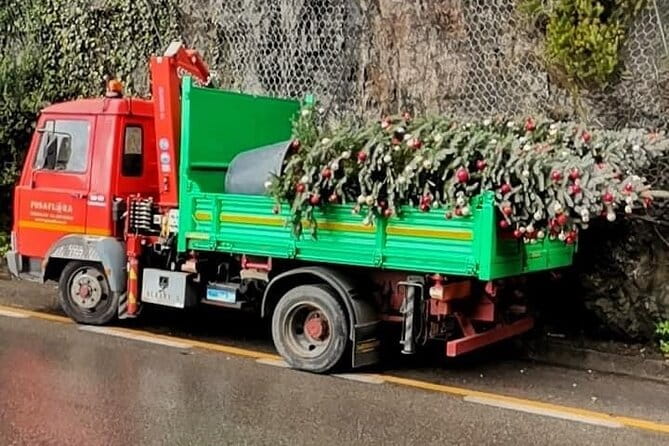 Transfer From Naples Train Station/area to Sorrento with 1 hour stop in Positano - FAQ