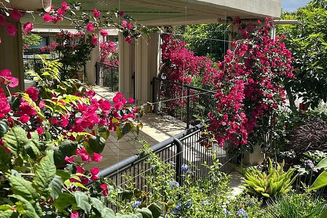 Transfer from Palermo Airport to Grand Palladium Sicily - Who Should Book This Transfer?