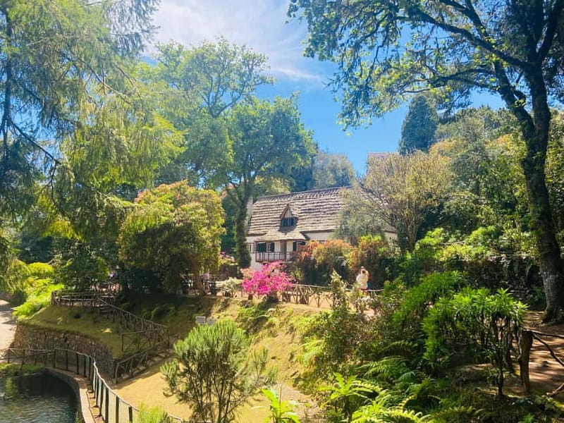 Transfer from Porto da Cruz to Pico Ruivo - Arieiro Or PR9 - What You Can Expect During Your Day