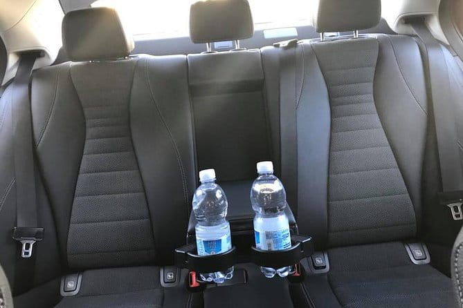 Transfer from the Port of Civitavecchia to Rome - The Experience from Dock to Doorstep: What to Expect