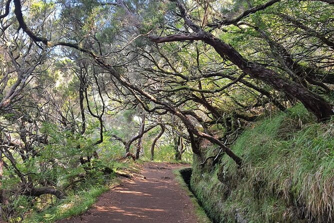 Transfer Rabacal 25 Fontes & Risco Levada Self-Guided - A Full Exploration of the Self-Guided Levada Experience