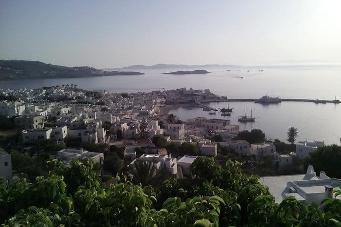 Transfer services and Tours - The Nitty-Gritty of the Transfer Experience