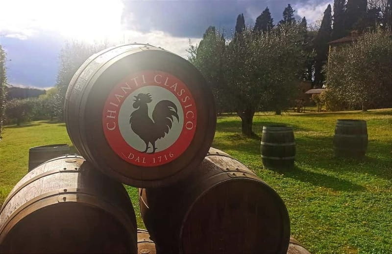 Transfer Siena-Florence with visit to Chianti and tasting - Who Should Consider This Tour?