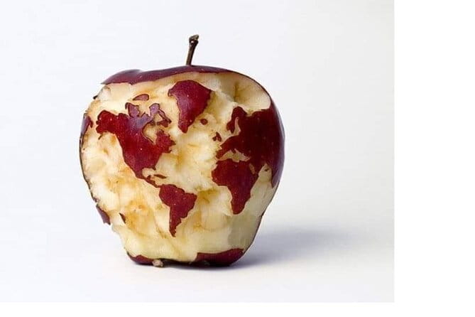 Transfers from Civitavecchia to Fiumicino/Rome - In-Depth Review: The Practicality and Authentic Charm of this Transfer Service