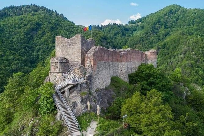 Transformational Top Gear Road, Wild Brown Bears, Small Group Max 8 - Cancellation Policy