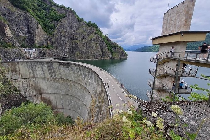 Transformational Top Gear Road, Wild Brown Bears, Small Group Max 8 - Personalized Small-Group Experience