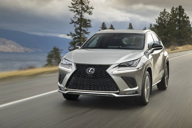 Transport, taxis and shuttles - Who Will Love This Service?