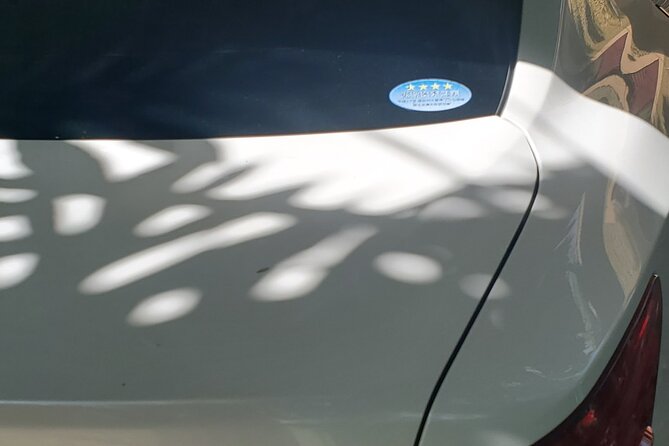 Transportation From Montego Bay to Your Hotel. - Accessibility and Participation