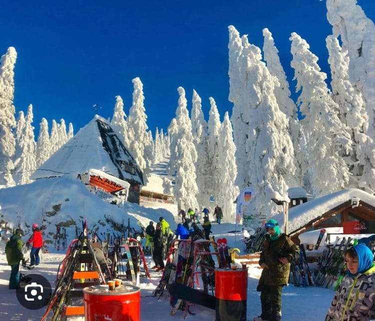 Transylvania: Christmas Markets Private Tour: Brasov & Sibiu - Final Thoughts: Is This Tour for You?