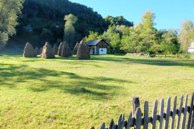 Transylvania Day Trip from Bucharest: In Search of Count Dracula - Practicalities and What to Expect