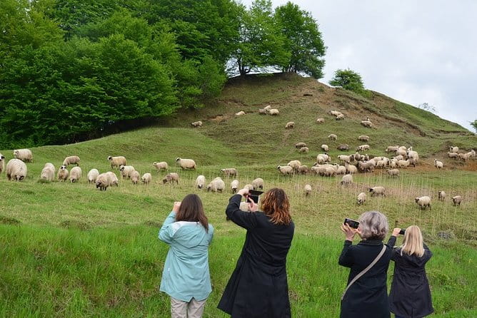 Transylvanian week - Day 3: Medieval Villages and Sighisoara