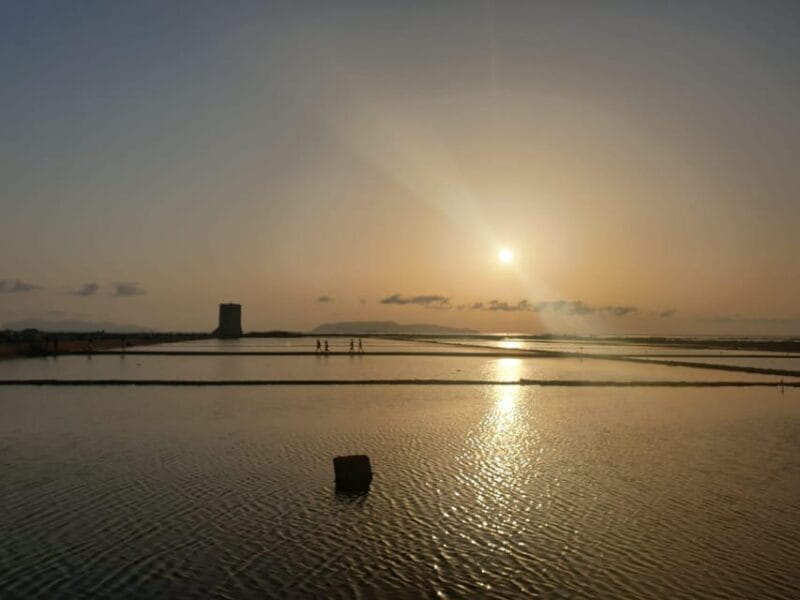 Trapani: Salt Pans Sunset Tour and Flamingo Way - The Sum Up