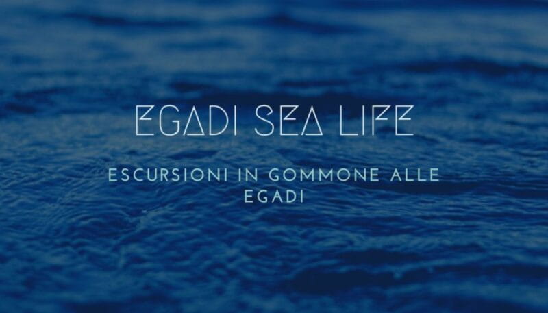 Trapani Tour un giorno alle Egadi Favignana e Levanzo - Discovering the Egadi: A Day of Natural Beauty and Authentic Encounters