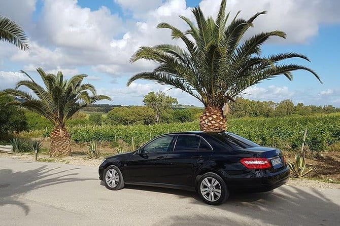 Trasferimento privato da Palermo aeroporto a San Vito Lo Capo - Practicalities and Logistics