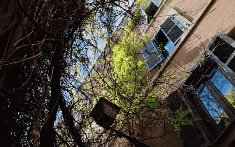 Trastevere Food Tour and Pasta Making Class - Tasting Roman Street Food: A Flavorsome Feast