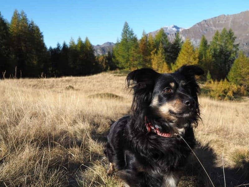 Travel with photography: customizable photo set - The Sum Up