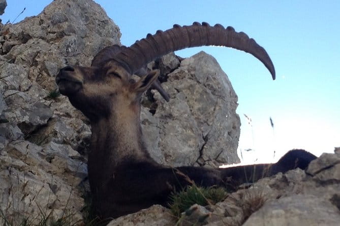 Travel with Swissness - A Detailed Look at the Swissness Experience