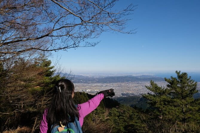 Traverse Outer Rim of Hakone Caldera and Enjoy Onsen Hiking Tour - Exploring the Hakone Caldera