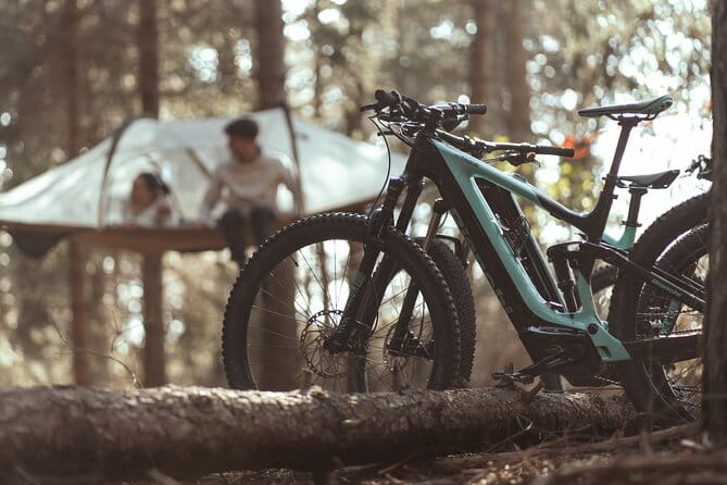 Tree Tents Experience - E-bike Tour - Who Should Consider This Tour?