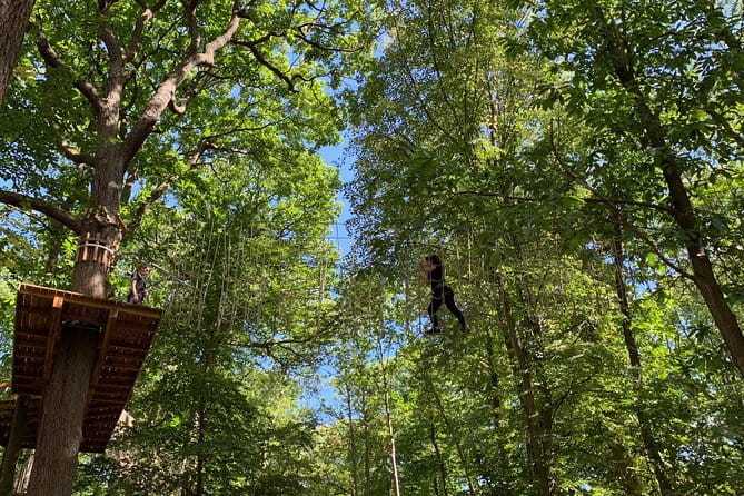 Tree Top Adventure in Forest of Meudon - Exploring Tree Top Adventure in Forest of Meudon: An Honest Look
