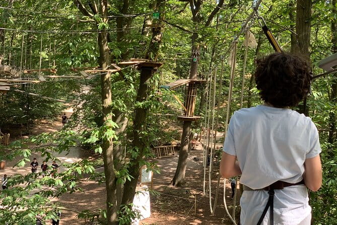 Tree Top Adventure in Forest of Meudon - Key Points / Takeaways