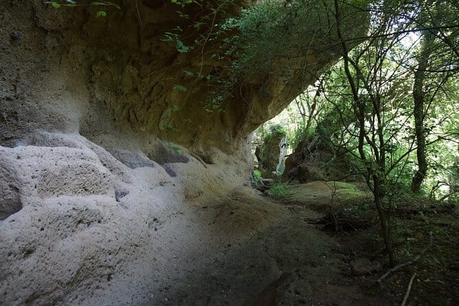 Trekking Excursion History and Nature Necropolis of Norchia from Rome - Price and Logistics: Is It Worth It?