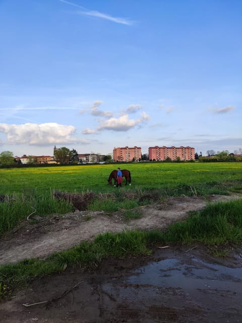 Trekking in the Wood with picnic on the turtles lake - Price and Value