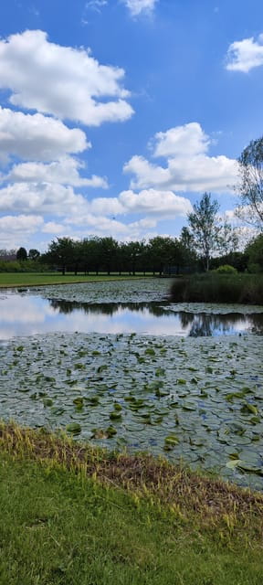 Trekking in the Wood with picnic on the turtles lake - FAQs