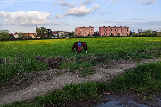 Trekking in the Wood with picnic on the turtles lake - Exploring Milan’s Secret Green Space: Trekking in the Wood with a Lakeside Picnic